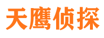 洛龙侦探公司